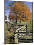 Split Rail Fence and Tree, Hensley Settlement, Cumberland Gap National Historic Park, Kentucky, USA-Adam Jones-Mounted Photographic Print