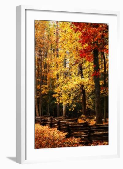 Split Rail Fence II-Alan Hausenflock-Framed Photographic Print