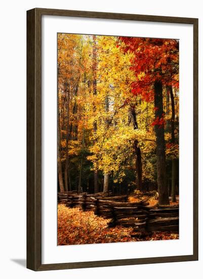 Split Rail Fence II-Alan Hausenflock-Framed Photographic Print