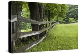 Split Rail Fence-Brenda Petrella Photography LLC-Stretched Canvas