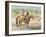 Splitting the Herd-LaVere Hutchings-Framed Giclee Print