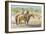 Splitting the Herd-LaVere Hutchings-Framed Giclee Print