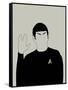 Spock-David Brodsky-Framed Stretched Canvas