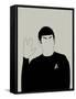 Spock-David Brodsky-Framed Stretched Canvas