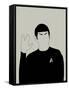 Spock-David Brodsky-Framed Stretched Canvas