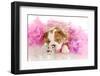 Spoiled Dog - English Bulldog Puppy Chewing On Tiara Surrounded By Pink Feathers-Willee Cole-Framed Photographic Print