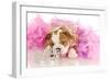 Spoiled Dog - English Bulldog Puppy Chewing On Tiara Surrounded By Pink Feathers-Willee Cole-Framed Photographic Print