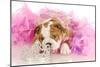 Spoiled Dog - English Bulldog Puppy Chewing On Tiara Surrounded By Pink Feathers-Willee Cole-Mounted Photographic Print