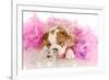 Spoiled Dog - English Bulldog Puppy Chewing On Tiara Surrounded By Pink Feathers-Willee Cole-Framed Photographic Print