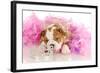 Spoiled Dog - English Bulldog Puppy Chewing On Tiara Surrounded By Pink Feathers-Willee Cole-Framed Photographic Print