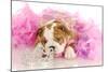 Spoiled Dog - English Bulldog Puppy Chewing On Tiara Surrounded By Pink Feathers-Willee Cole-Mounted Photographic Print