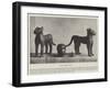 Spoils from Benin-null-Framed Giclee Print