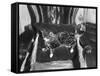 Spoilt Cat-null-Framed Stretched Canvas