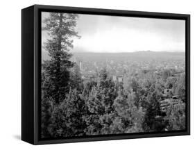 Spokane Through the Trees, 1915-Asahel Curtis-Framed Stretched Canvas