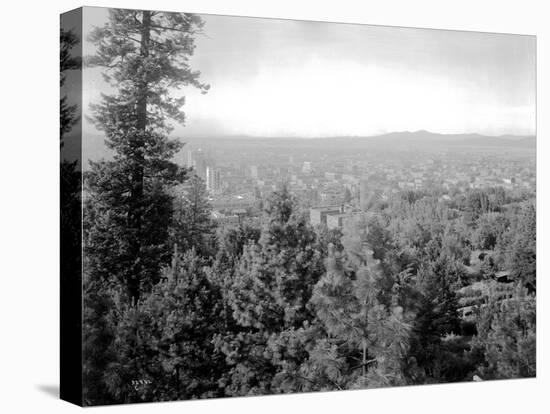 Spokane Through the Trees, 1915-Asahel Curtis-Stretched Canvas