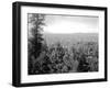 Spokane Through the Trees, 1915-Asahel Curtis-Framed Giclee Print