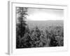 Spokane Through the Trees, 1915-Asahel Curtis-Framed Giclee Print