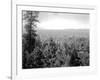 Spokane Through the Trees, 1915-Asahel Curtis-Framed Giclee Print