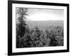 Spokane Through the Trees, 1915-Asahel Curtis-Framed Giclee Print