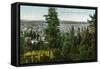 Spokane, Washington - Aerial View of City through the Woods-Lantern Press-Framed Stretched Canvas