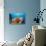 Sponge and Crinoid on a Coral Reef-Reinhard Dirscherl-Stretched Canvas displayed on a wall