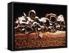 Sponge Cake with Chocolate Cream-null-Framed Stretched Canvas