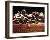 Sponge Cake with Chocolate Cream-null-Framed Photographic Print