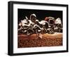 Sponge Cake with Chocolate Cream-null-Framed Photographic Print