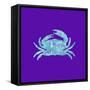 Sponge Crab Aqua-Tina Lavoie-Framed Stretched Canvas