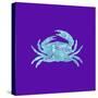 Sponge Crab Aqua-Tina Lavoie-Stretched Canvas