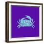 Sponge Crab Aqua-Tina Lavoie-Framed Giclee Print