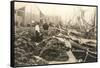 Sponge Harvest, Tarpon Springs, Florida-null-Framed Stretched Canvas