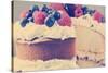 Sponge Layer Cake with Fresh Whipped Cream, Raspberry Jelly and Raspberries, Strawberries and Blueb-Milleflore Images-Stretched Canvas