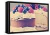 Sponge Layer Cake with Fresh Whipped Cream, Raspberry Jelly and Raspberries, Strawberries and Blueb-Milleflore Images-Framed Stretched Canvas