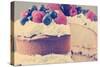 Sponge Layer Cake with Fresh Whipped Cream, Raspberry Jelly and Raspberries, Strawberries and Blueb-Milleflore Images-Stretched Canvas