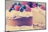 Sponge Layer Cake with Fresh Whipped Cream, Raspberry Jelly and Raspberries, Strawberries and Blueb-Milleflore Images-Mounted Photographic Print