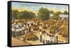 Sponge Market, Tarpon Springs, Florida-null-Framed Stretched Canvas