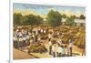 Sponge Market, Tarpon Springs, Florida-null-Framed Art Print