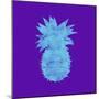 Sponge Pineapple Aqua-Tina Lavoie-Mounted Giclee Print