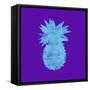 Sponge Pineapple Aqua-Tina Lavoie-Framed Stretched Canvas