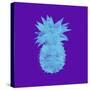 Sponge Pineapple Aqua-Tina Lavoie-Stretched Canvas