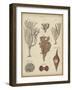 Sponge-null-Framed Art Print