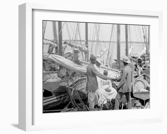 Sponging Fleet in Harbor, Nassau, W.I.-null-Framed Photo