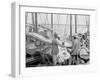 Sponging Fleet in Harbor, Nassau, W.I.-null-Framed Photo