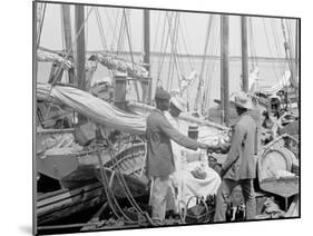 Sponging Fleet in Harbor, Nassau, W.I.-null-Mounted Photo