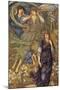 Sponsa De Libano-Edward Burne-Jones-Mounted Art Print