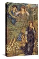 Sponsa De Libano-Edward Burne-Jones-Stretched Canvas