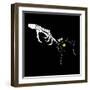 Spooky Boop-Michael Buxton-Framed Art Print