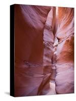 Spooky Gulch, Grand Staircase Escalante National Monument, Utah, USA-Jamie & Judy Wild-Stretched Canvas