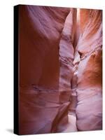 Spooky Gulch, Grand Staircase Escalante National Monument, Utah, USA-Jamie & Judy Wild-Stretched Canvas